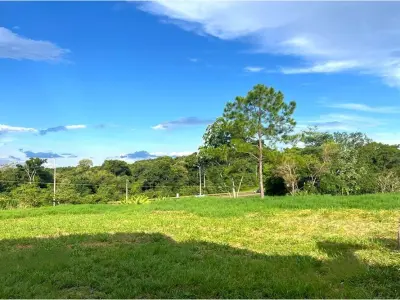Terreno comercial à venda em San Juan del Paraná - 5 hectares 4