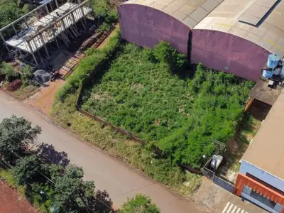 Terreno comercial en venta en Ciudad del Este 4