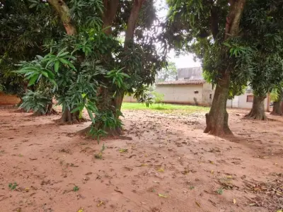 Commercial land for sale on corner lot in Pindolo, Areguá 3