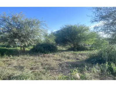 Terreno comercial à venda em Filadelfia, Boquerón 4