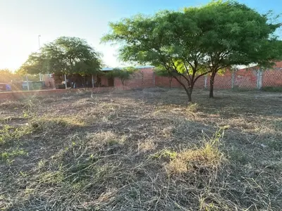 Terreno comercial à venda em Filadelfia, Boquerón 3
