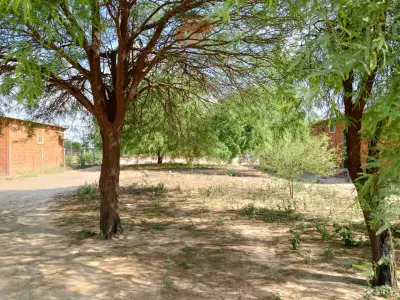 Terreno comercial en venta en Filadelfia, Boquerón 3