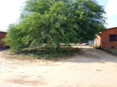 Terreno comercial en venta en Filadelfia, Boquerón 5