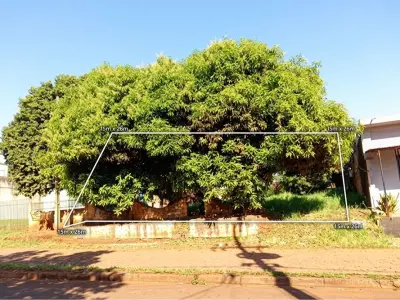 Commercial land for sale in Km 9 Acaray, Ciudad del Este 3