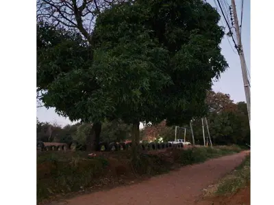 Terreno comercial à venda em Limpio, Central 3