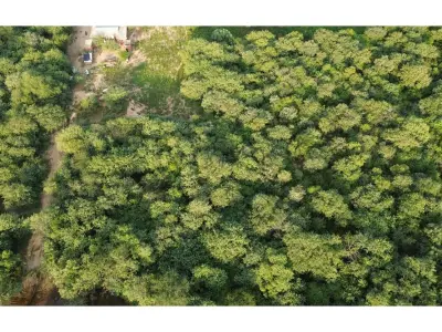 Terreno comercial en venta en Loma Plata, Boquerón 5