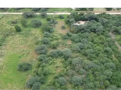 Terreno comercial en venta en Loma Plata, Boquerón 2
