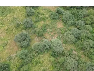 Terreno comercial en venta en Loma Plata, Boquerón 3