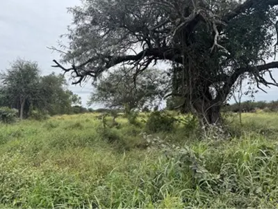 Terreno comercial en venta en Loma Plata, Boquerón 4