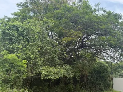 Terreno comercial en venta en Nueva Esperanza, Encarnación 4