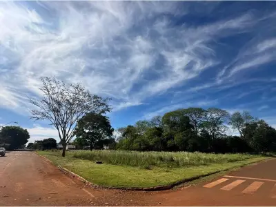 Commercial land for sale in San Alberto, Alto Paraná 3