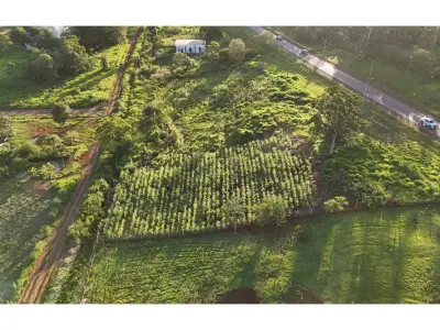 Commercial land for sale in Tavapy, Alto Paraná 3