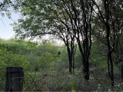 Terreno con casa en venta en Cruce Boquerón, Loma Plata 2