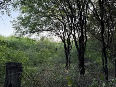Terreno con casa en venta en Cruce Boquerón, Loma Plata 3