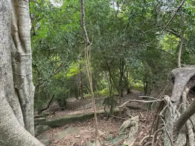 Terreno con vista al lago en Ybyanguy Primera, San Bernardino 4