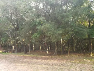 Terreno con vista al lago en Ybyanguy Primera, San Bernardino 2