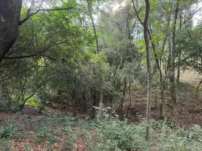 Terreno con vista al lago en Ybyanguy Primera, San Bernardino 4
