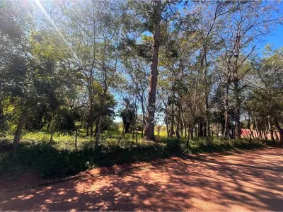 Terreno de 1 ha à venda em Laurelty, Capiata 4