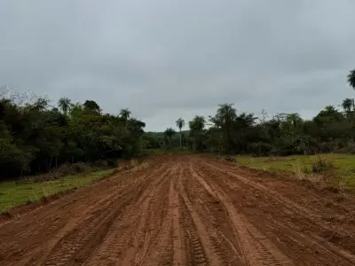 Terreno de 1 hectare em Loma Grande, Cordillera 2