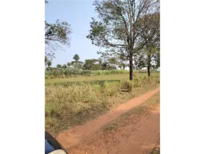 Terreno de 1 hectare à venda em Itauguá, Central 2