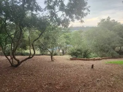 Terreno de 1 hectare à venda no km 18 Monday, Minga Guazú 3
