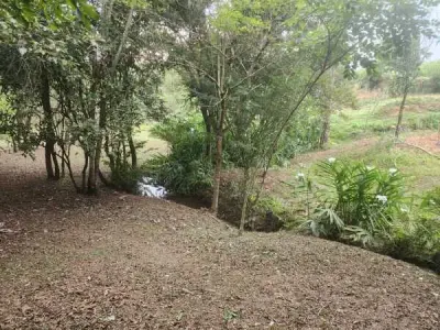 Terreno de 1 hectare à venda no km 18 Monday, Minga Guazú 4