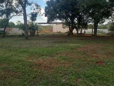 Land for sale in Luque, Barrio Primavera, 1 hectare 2