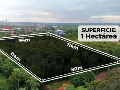 Terreno de 1 hectare à venda em Luque, Central 3