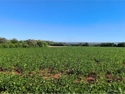 Terreno de 10 hectares à venda em Capitán Miranda, Itapúa 3