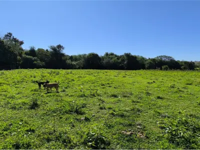Terreno de 10 hectares à venda em Capitán Miranda, Itapúa 4