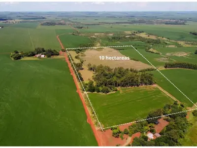 Terreno de 10 hectáreas en venta en Itakyry, Alto Paraná 3