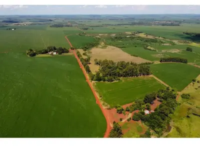 Terreno de 10 hectáreas en venta en Itakyry, Alto Paraná 5