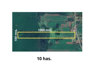 Land for sale in Natalio, Itapúa - 10 hectares 3
