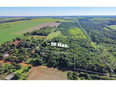 Land of 10 hectares for sale in Presidente Franco 3