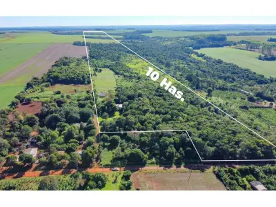 Land of 10 hectares for sale in Presidente Franco 4