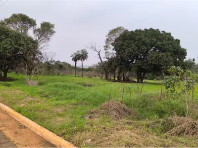 10-hectare land for sale - San Juan del Paraná 4