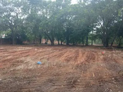 Terreno de 10.000 m² en venta en Presidente Franco, Alto Paraná 2
