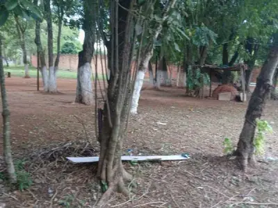 Terreno de 10.000 m² en venta en Presidente Franco, Alto Paraná 3