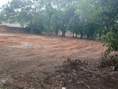 Terreno de 10.000 m² en venta en Presidente Franco, Alto Paraná 4