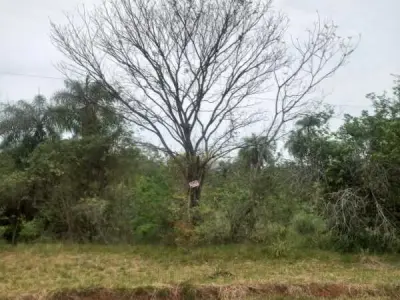 Terreno de 1.135 m² en venta en Atyrá, Cordillera 2