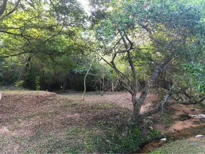 Land for sale in San Miguel, Ypané – 1,170 m² 3