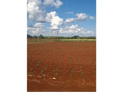 Terreno à venda em Santa Rosa del Monday Norte, 1.199 m² 2