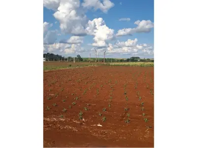 Terreno à venda em Santa Rosa del Monday Norte, 1.199 m² 3
