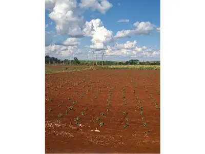 Terreno à venda em Santa Rosa del Monday Norte, 1.199 m² 4