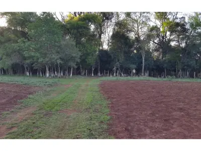 Terreno de 12 hectares à venda em Carmen del Paraná, Itapúa 3