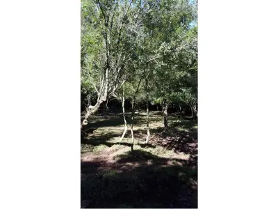 Terreno de 12 hectares à venda em Carmen del Paraná, Itapúa 4