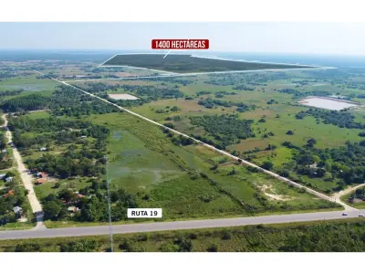 1,200-hectare land for sale in Pilar 3