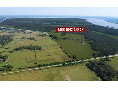 1,200-hectare land for sale in Pilar 4