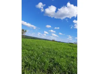 Terreno de 12,9 hectáreas en venta en Repatriación, Caaguazú 3