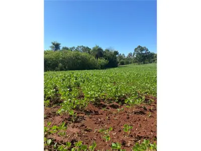 Terreno de 13 hectares à venda em Cambyretá, Itapúa 3